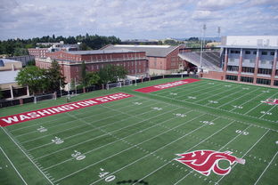 kaiyun登录入口-篮球专项体能训练监测技术及应用实践，篮球项目的体能训练方法