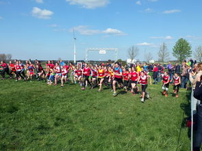 KAIYUN 中国大陆-青少年体育运动社会支持系统研究，青少年体育运动社会支持系统研究现状