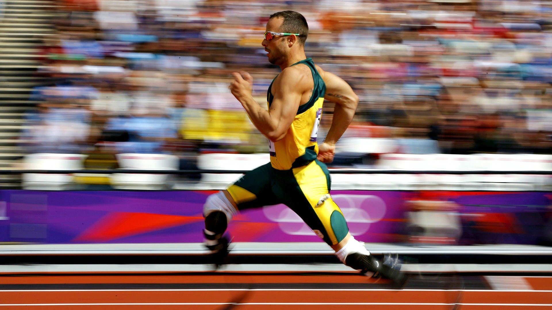 全运会文化节丰富群众参与形式,全运会群众比赛项目