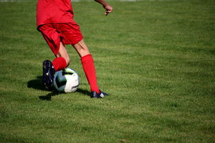 开云彩票-中国足球青训体系引进国际先进训练理念，中国足球青训体系是什么